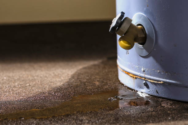Best Sewage cleanup and water damage restoration  in Glenwood, IA