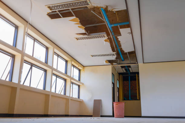 Best Professional water damage repair  in Glenwood, IA