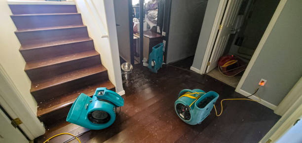 Best Water damage restoration near me  in Glenwood, IA