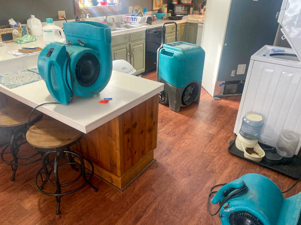 Best Flood damage cleanup  in Glenwood, IA