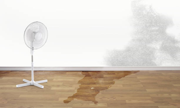  Glenwood, IA Water damage restoration Pros