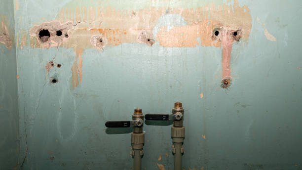 Reliable IA Water damage restoration Solutions