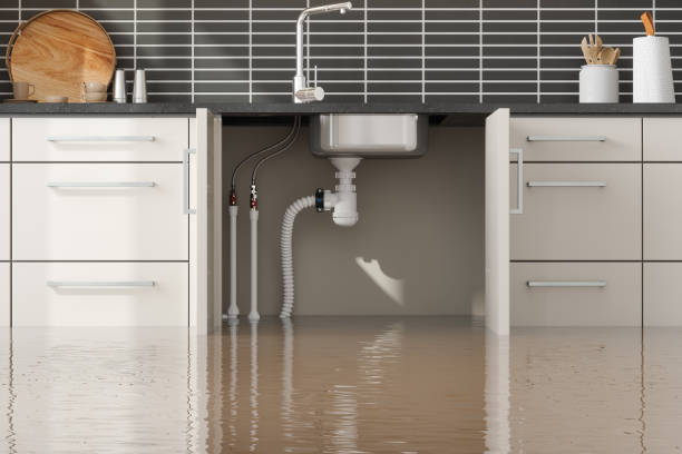 Best Water damage restoration mold remediation  in Glenwood, IA