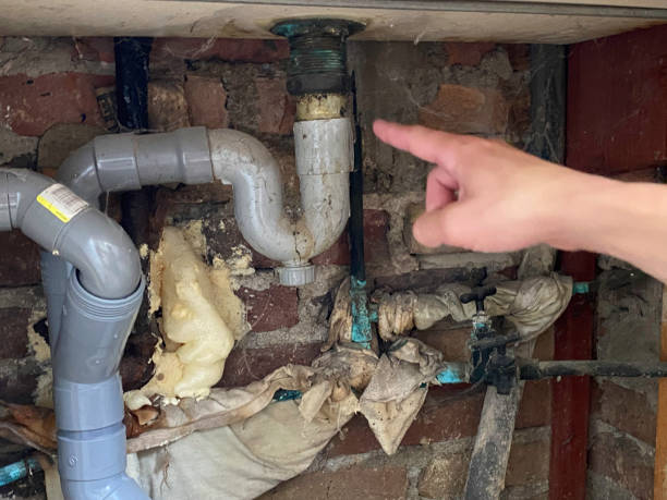 Best Water damage contractors near me  in Glenwood, IA