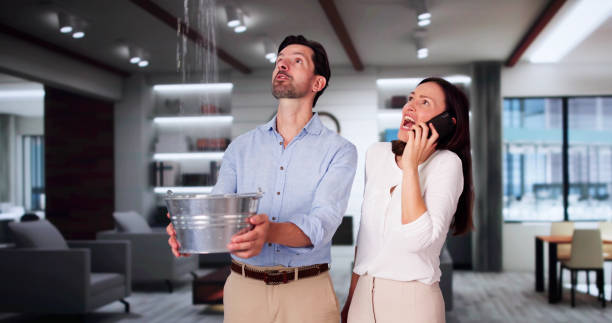Best Residential water damage restoration  in Glenwood, IA