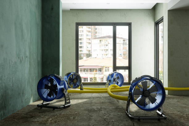 Best Ceiling water damage repair  in Glenwood, IA